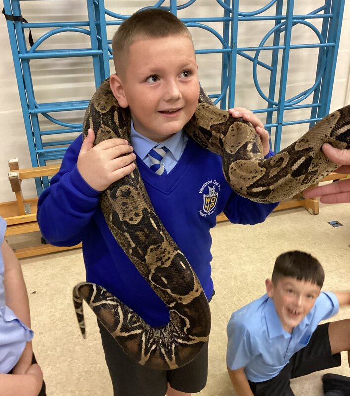 Image of Year 4 enjoy Dylan's Reptile Time!